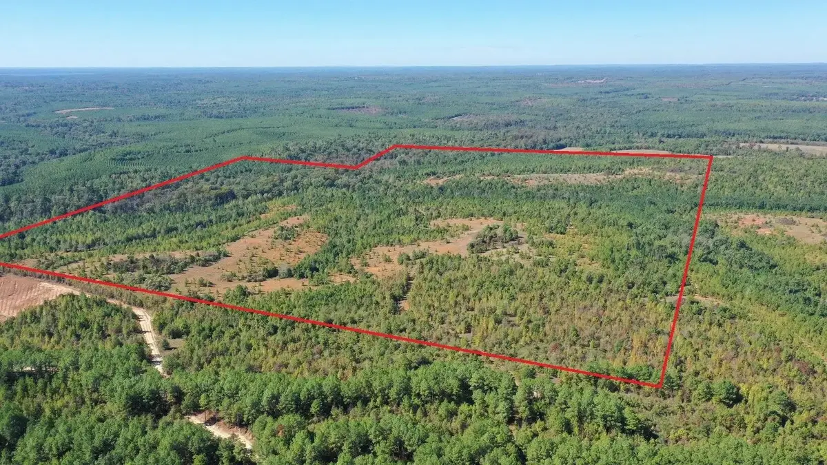 0 Easement Rd off Cr 1648, Jefferson, TX 75657 - #1