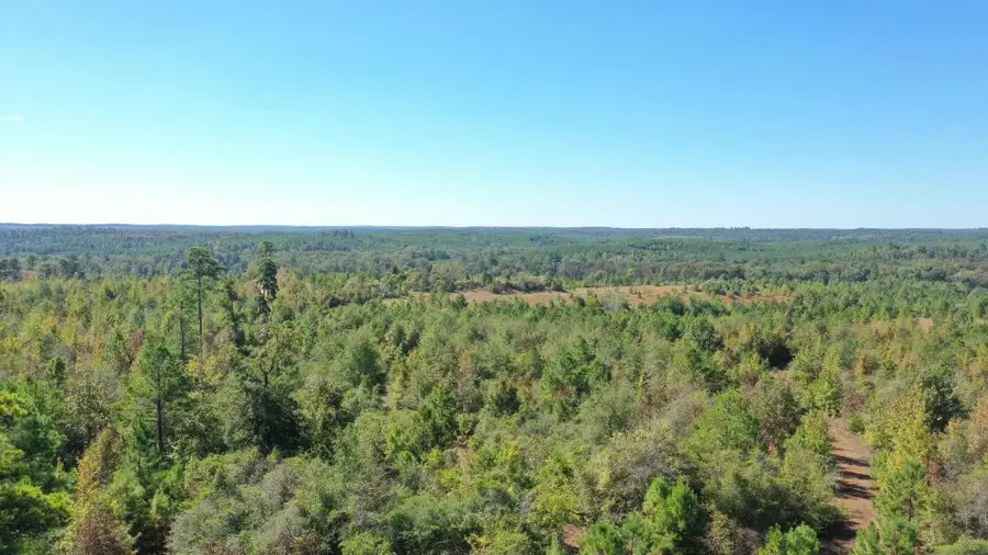 0 Easement Rd off Cr 1648, Jefferson, TX 75657 - #2