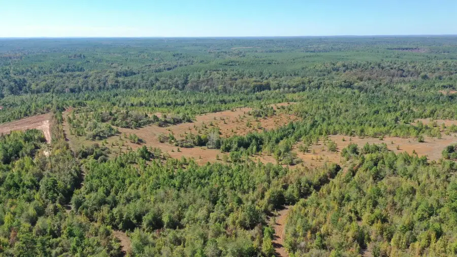 0 Easement Rd off Cr 1648, Jefferson, TX 75657 - #3