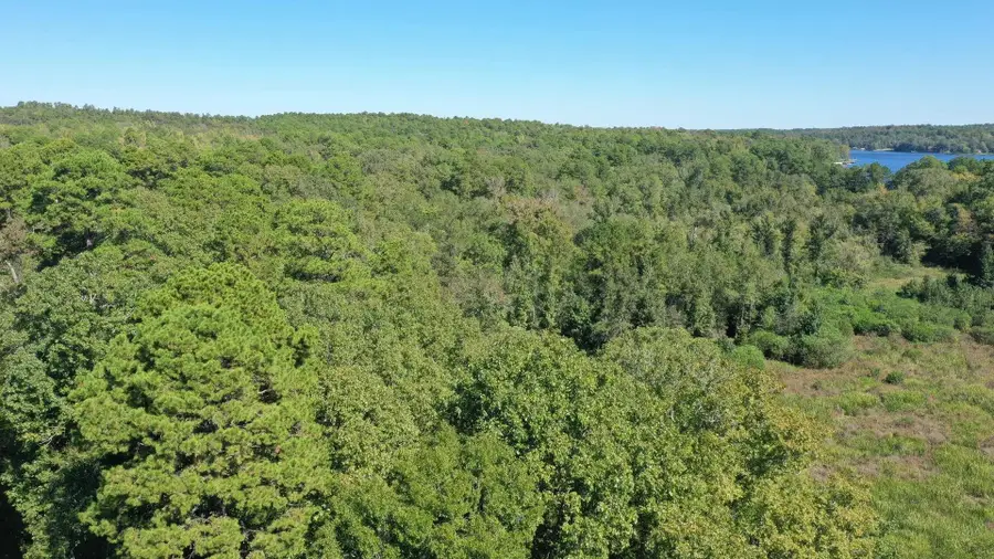 282 County Road 1511, Avinger, TX 75630 - #2