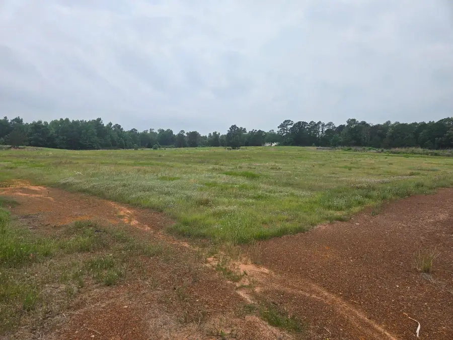 7434 S State Highway 42, Henderson, TX 75652 - #3