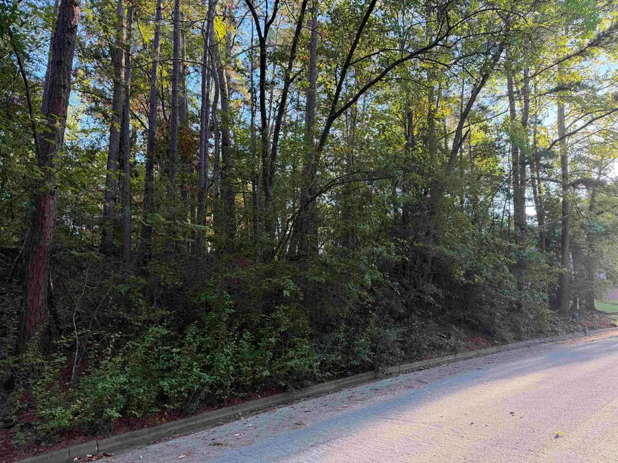 TBD Woodway Road, Kilgore, TX 75662 - #2