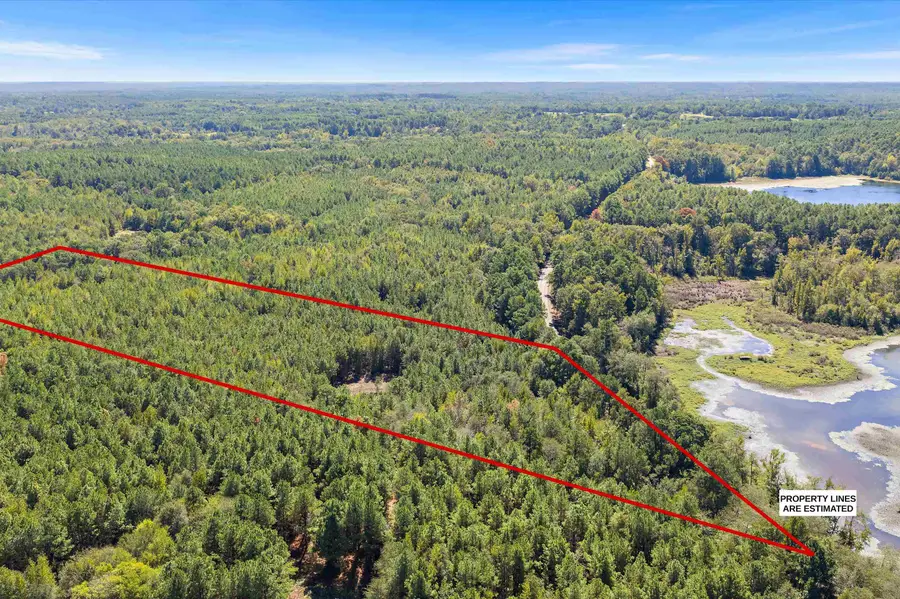 TBD N FM 161, Hughes Springs, TX 75656 - #2