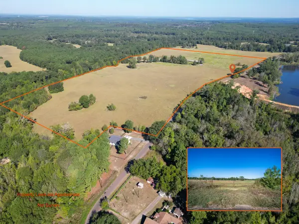 0 Ora Asa Johnson Rd., Harleton, TX 75651