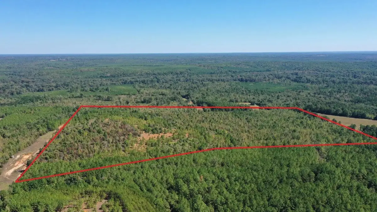 00 Easement Liberty Rd, Jefferson, TX 75657 - #1