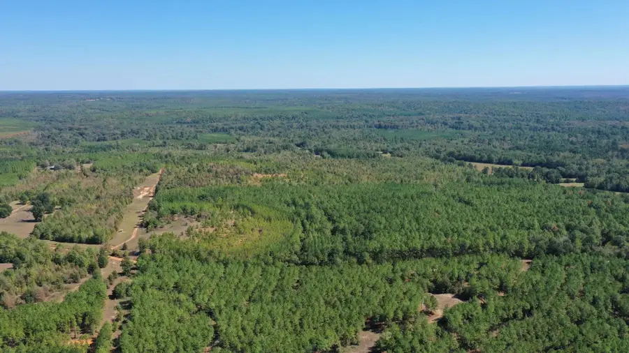 00 Easement Liberty Rd, Jefferson, TX 75657 - #2