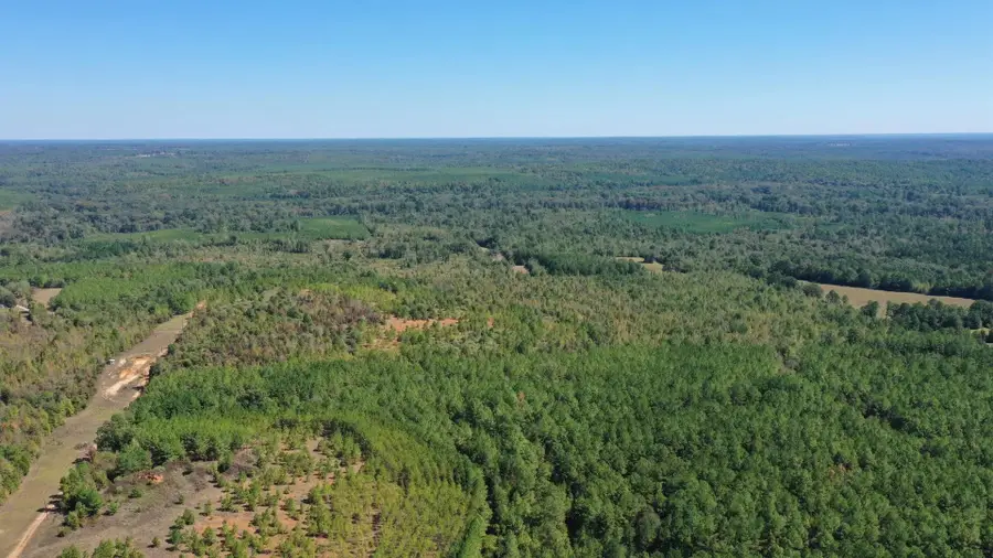 00 Easement Liberty Rd, Jefferson, TX 75657 - #3
