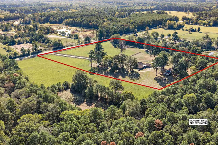 1931 N FM 31, De Berry, TX 75639 - #3