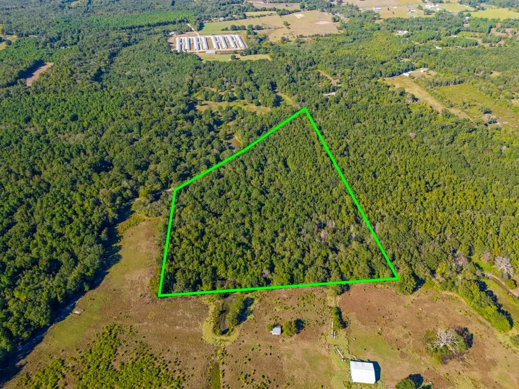TBD FM 3324, 24 Acres, Pittsburg, TX 75686 - #1