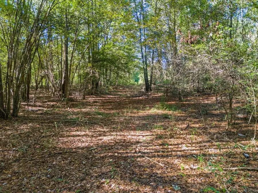 TBD FM 3324, 24 Acres, Pittsburg, TX 75686 - #2