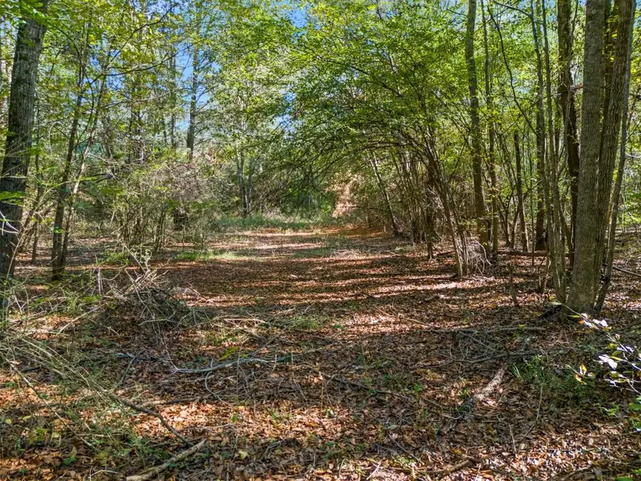 TBD FM 3324, 24 Acres, Pittsburg, TX 75686 - #3