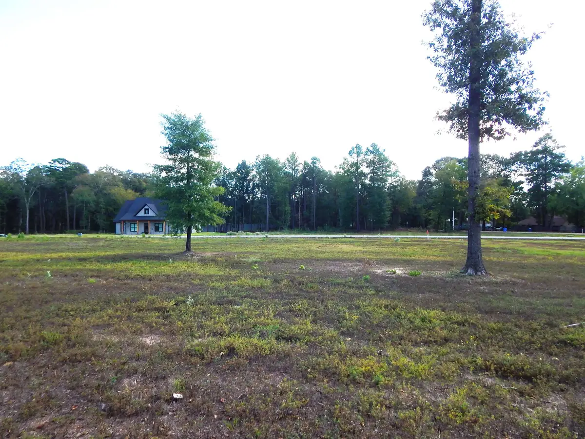 290 INDIAN ROCK DR, Gilmer, TX 75645 - #1