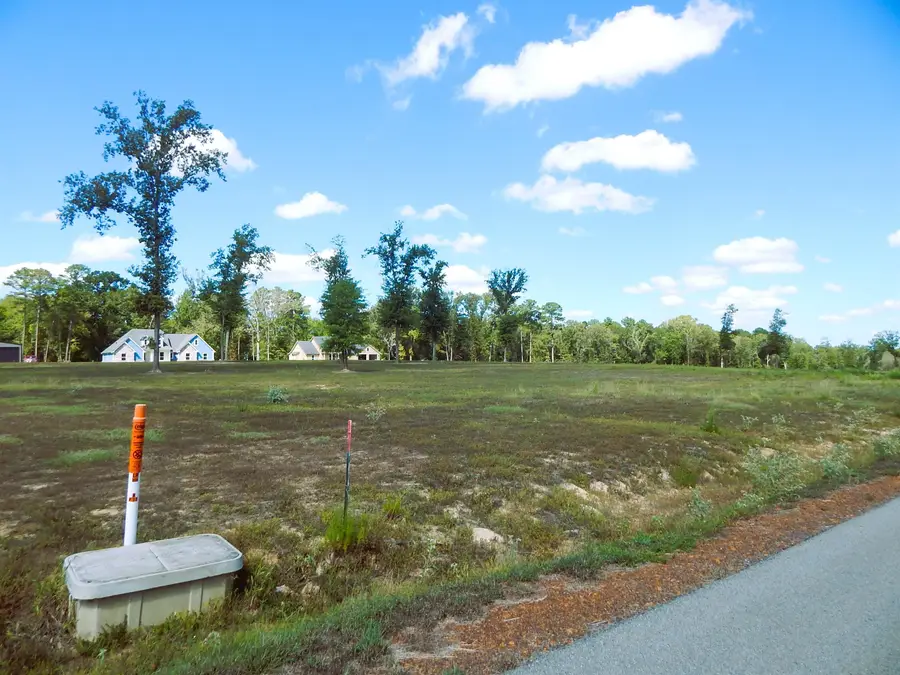 290 INDIAN ROCK DR, Gilmer, TX 75645 - #3