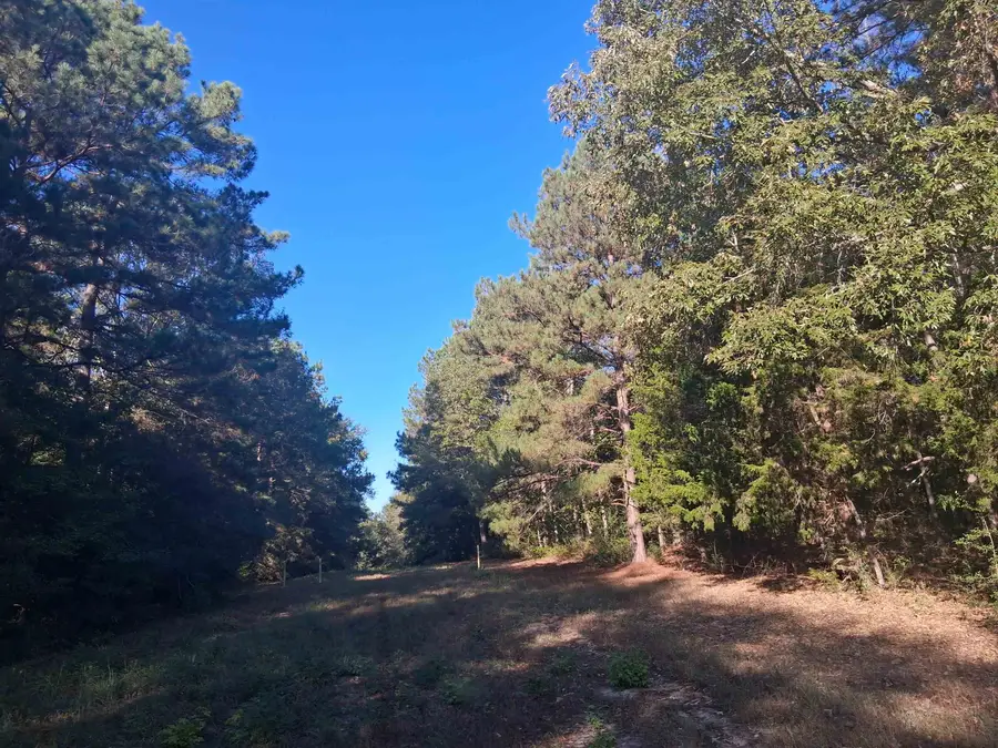 Lot 2 TBD Edmondson Rd, Harleton, TX 75651 - #2