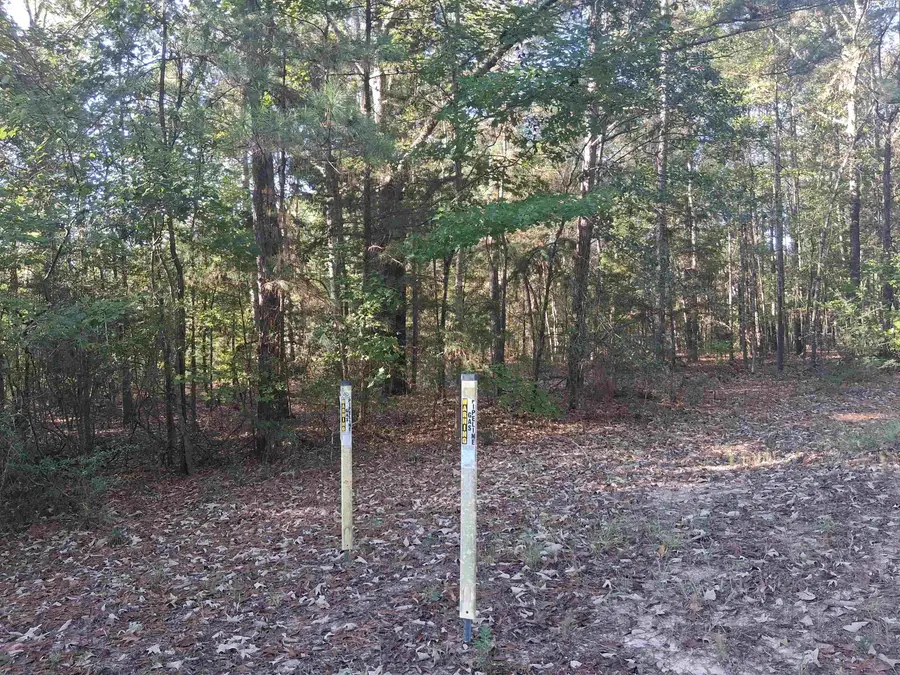 Lot 2 TBD Edmondson Rd, Harleton, TX 75651 - #3