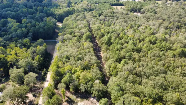 Lot 3 TBD Edmondson Rd, Harleton, TX 75651
