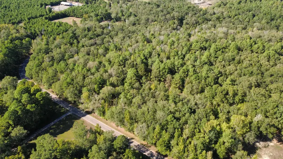 Lot 4 TBD Edmondson Rd, Harleton, TX 75651 - #3