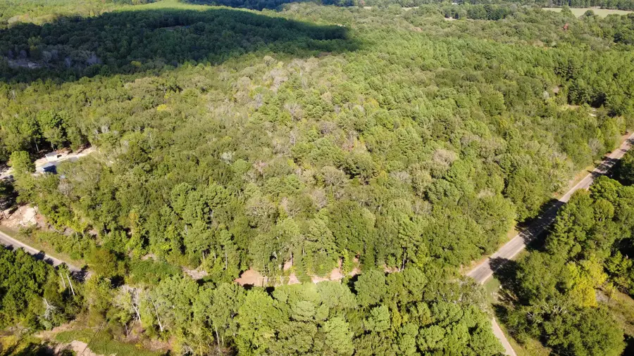Lot 5 TBD Edmondson Rd, Harleton, TX 75651 - #3