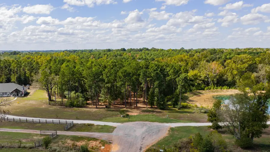 0001 Eagle Court Rd, Diana, TX 75640 - #2