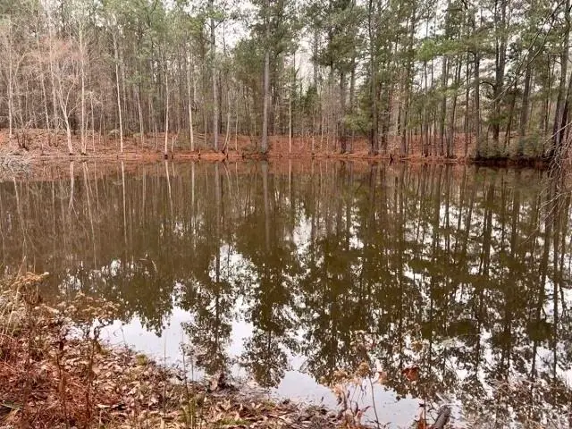 17365 FM 2089, Overton, TX 75684 - #2