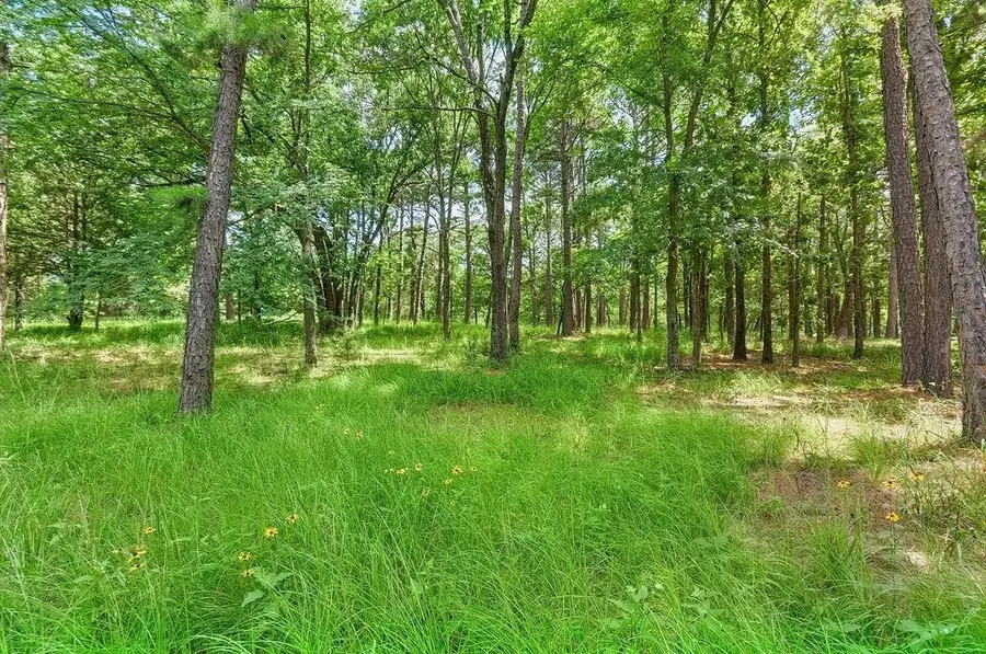 TBD Silk Tree Rd., Gilmer, TX 75645 - #2
