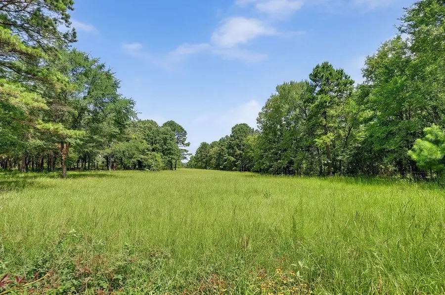 TBD Silk Tree Rd., Gilmer, TX 75645 - #3