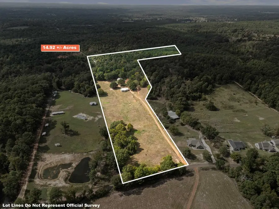 2835 Zinnia Rd, Diana, TX 75640 - #3