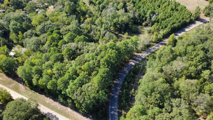 Lot 6 TBD Edmondson Rd, Harleton, TX 75651 - #2