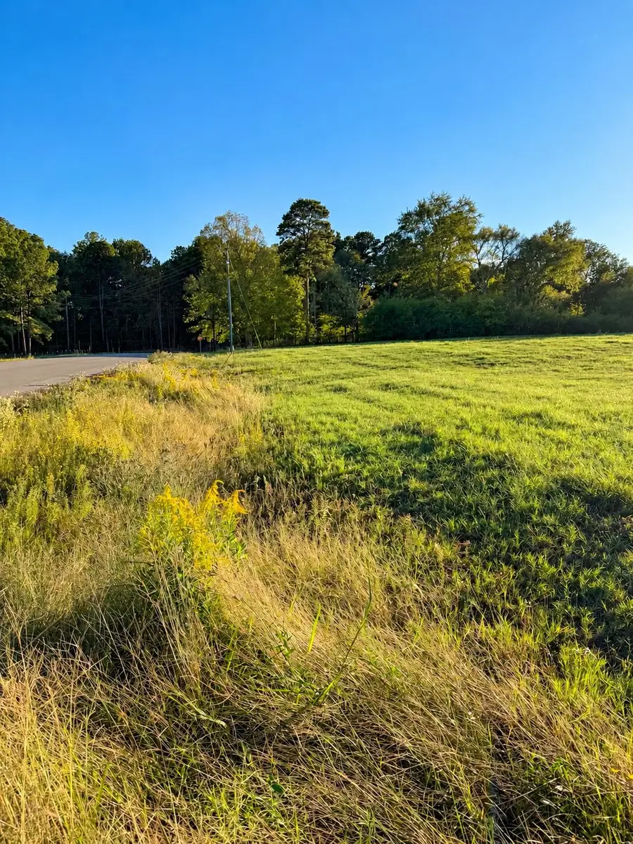 105 COW DOC RD, Kilgore, TX 75662 - #2