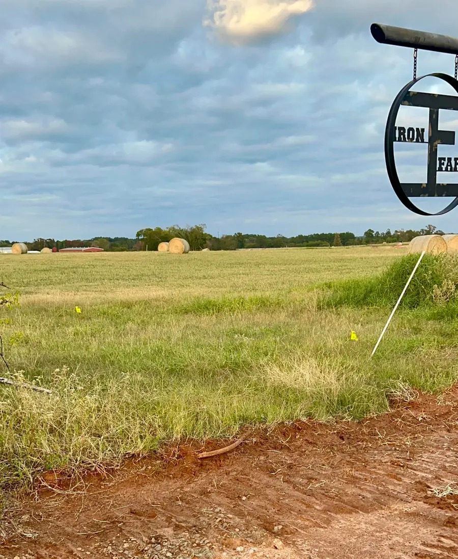 105 COW DOC RD, Kilgore, TX 75662 - #3
