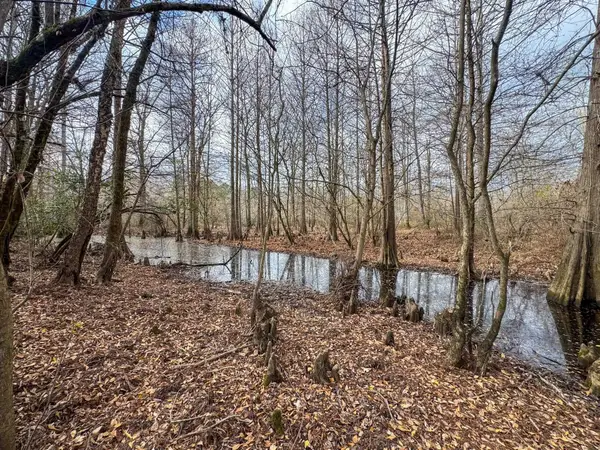 0204 Easement Rd off CR 1619, Linden, TX 75563