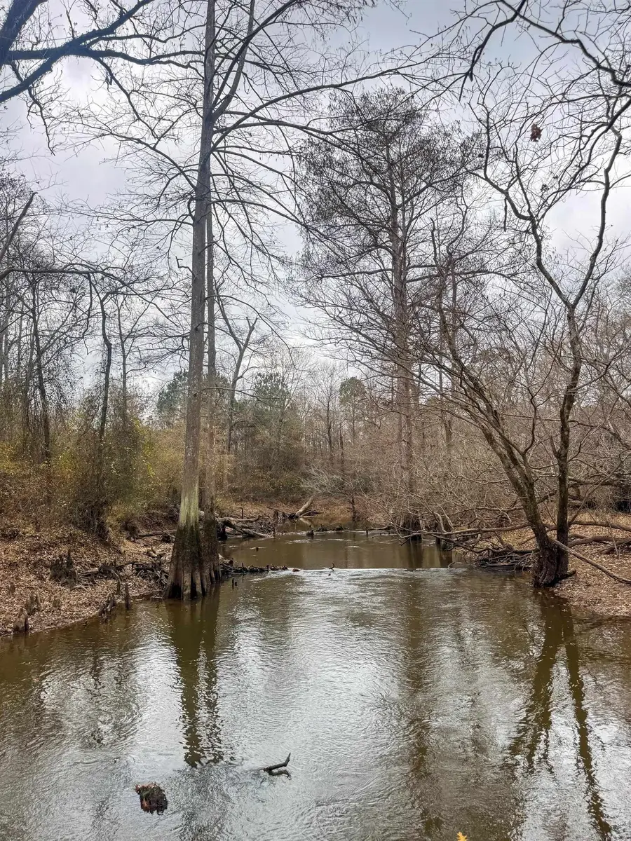 0204 Easement Rd off CR 1619, Linden, TX 75563 - #2