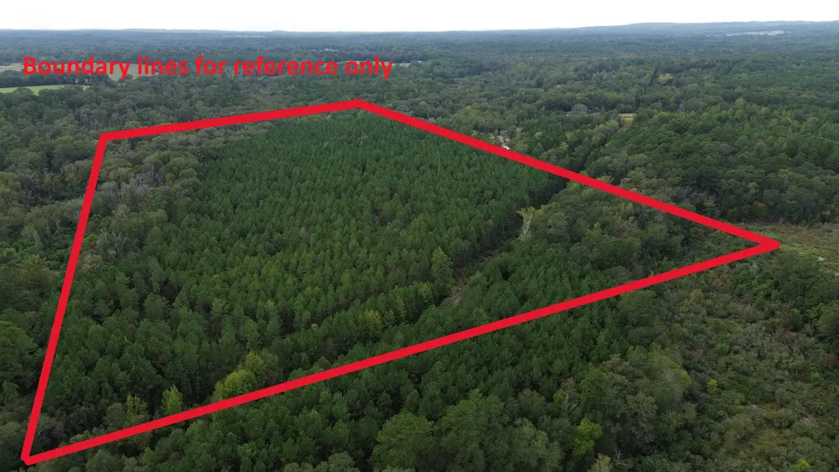 TBD AN County Road 1204, Elkhart, TX 75801 - #1