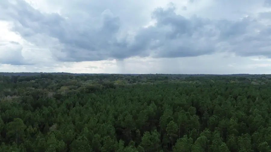 TBD AN County Road 1204, Elkhart, TX 75801 - #2