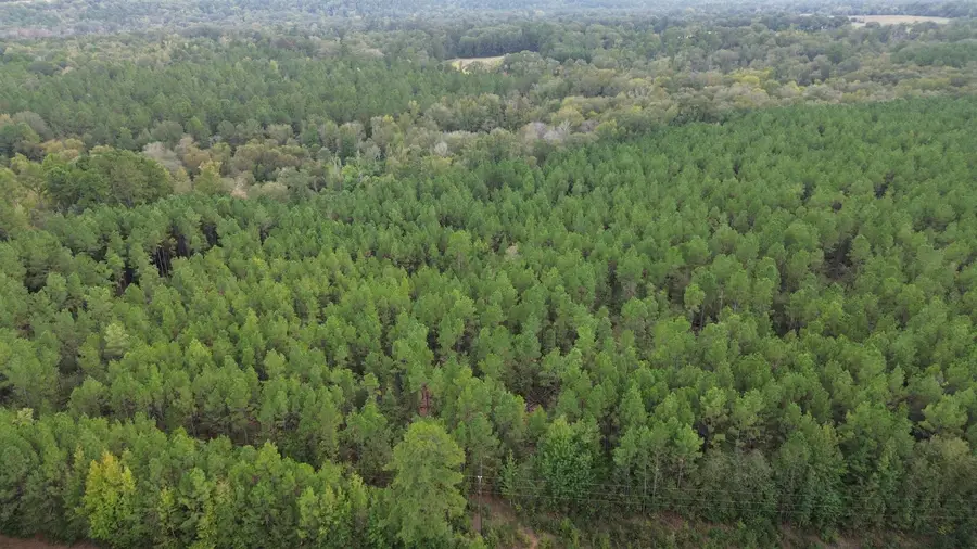 TBD AN County Road 1204, Elkhart, TX 75801 - #3