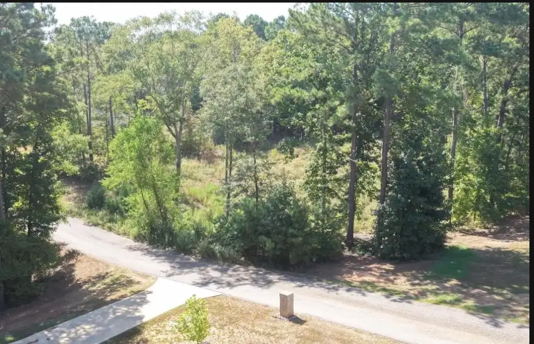 TBD LOT 66 BRALAN DR, Diana, TX 75640 - #1