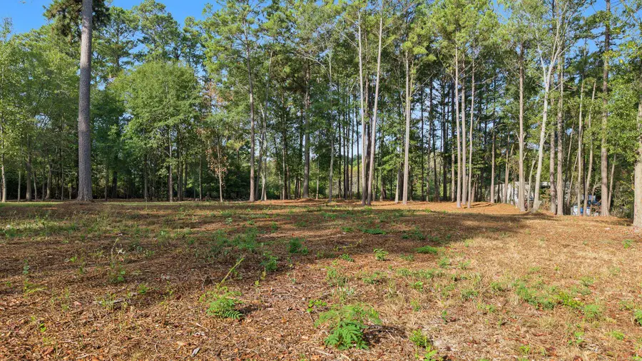 TBD N State Hwy 155 N, Gilmer, TX 75644 - #3