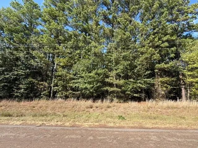 TBD Curtis Black Rd, Hallsville, TX 75650 - #1