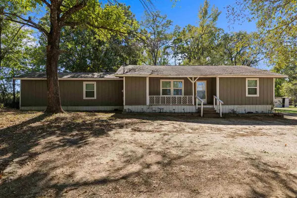 12550 Spider Lily, Diana, TX 75640