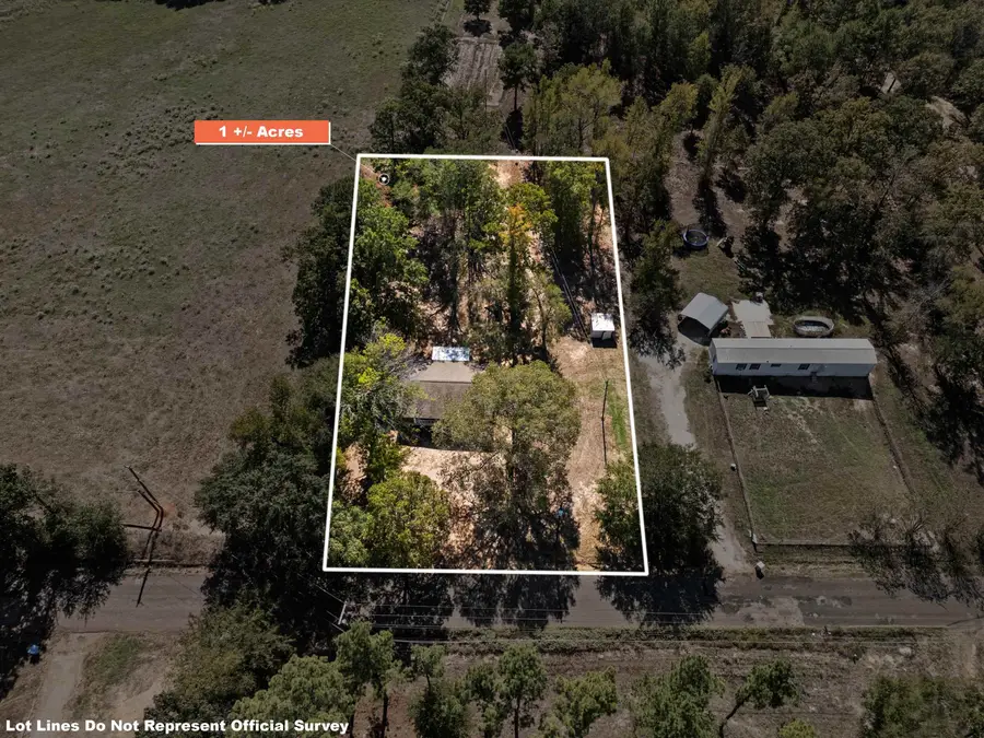 12550 Spider Lily, Diana, TX 75640 - #2