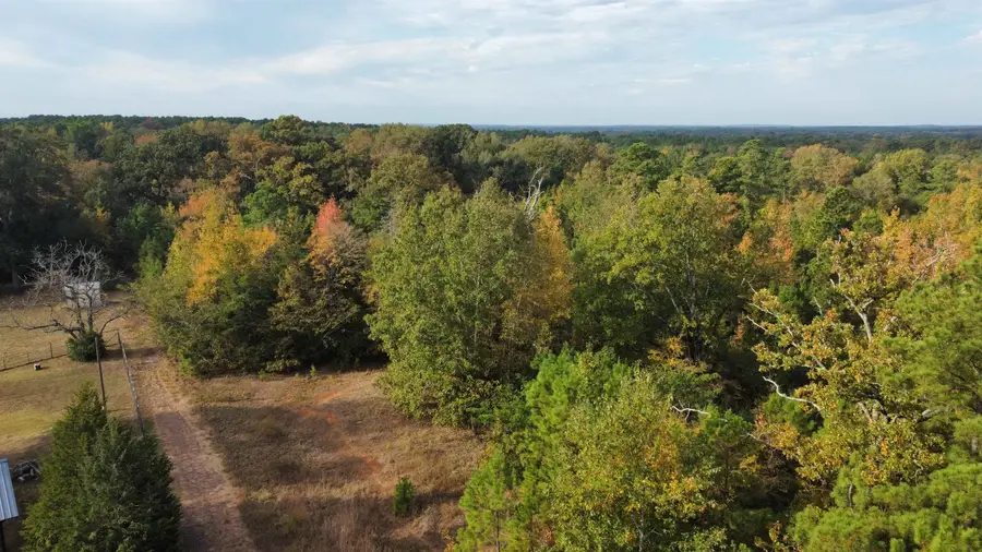 11.68 acres TBD CR 4127D, Turnertown, TX 75689 - #2