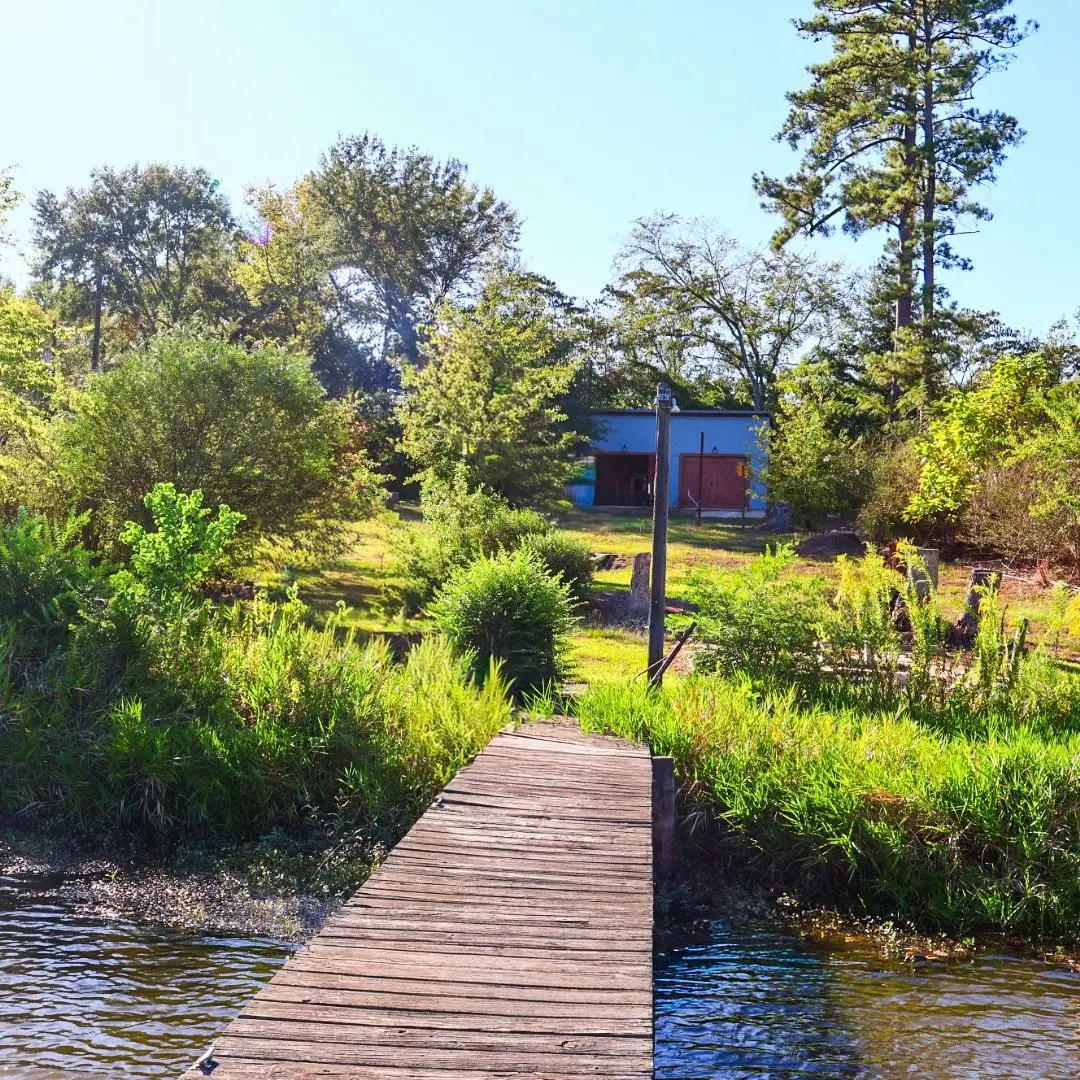 20034 Northside Drive, Winona, TX 75792 - #1