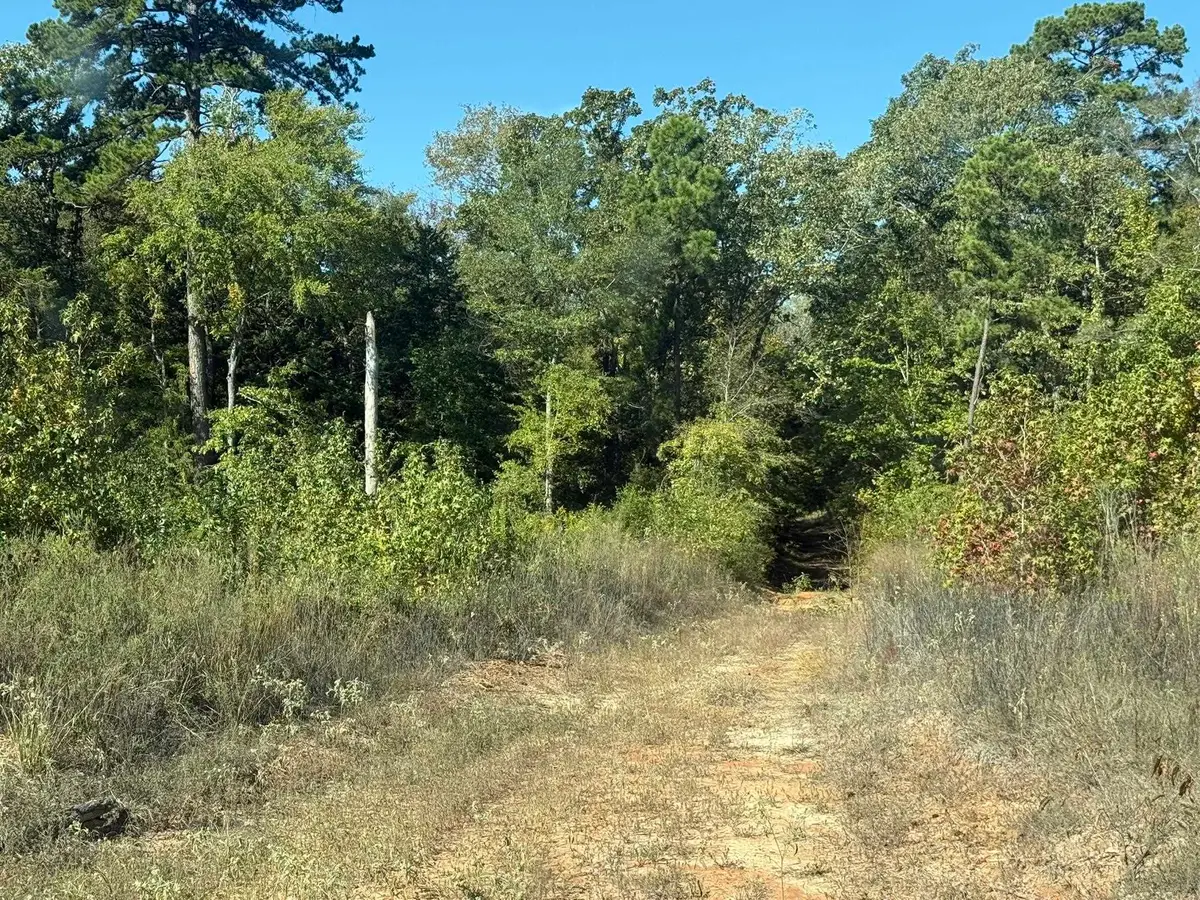 TBD HIGHWAY 155, Lone Star, TX 75668 - #1