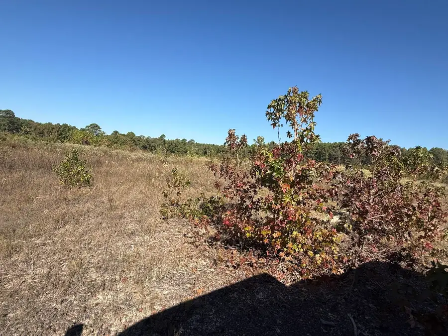 TBD HIGHWAY 155, Lone Star, TX 75668 - #3