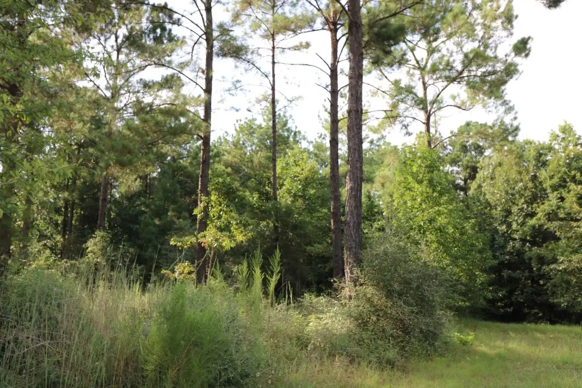 2314 Co Rd 222, Brookeland, TX 75931 - #1