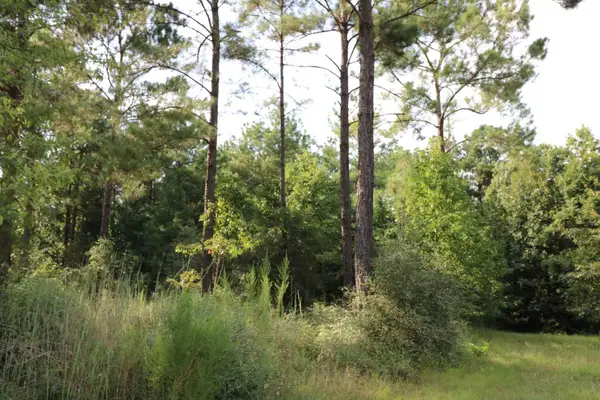 2314 Co Rd 222, Brookeland, TX 75931