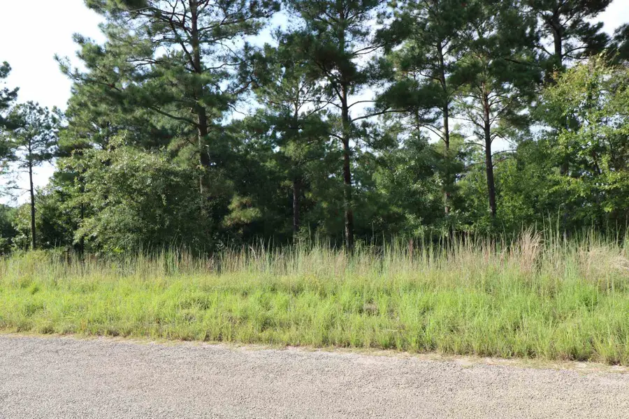 2314 Co Rd 222, Brookeland, TX 75931 - #3