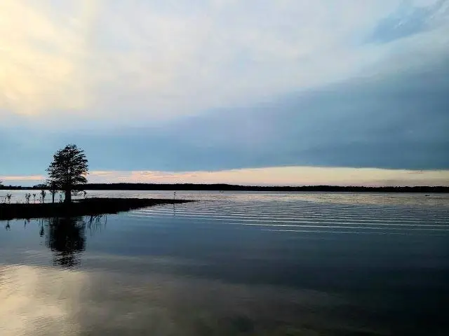 Tract 1 Lot 25 Pr 6026, Brookeland, TX 75931 - Image #1