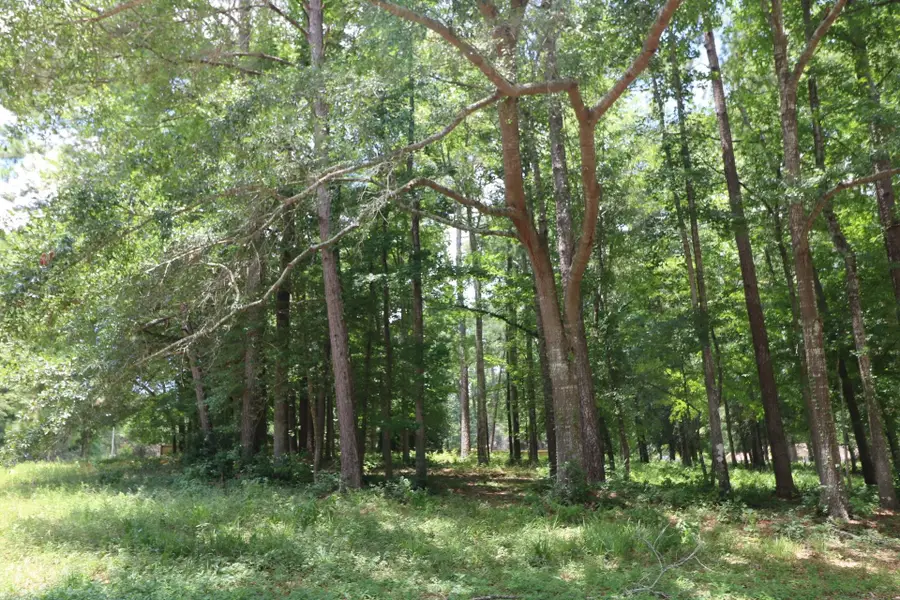 Lot 101 Hunterwood Dr, Jasper, TX 75951 - Image #2