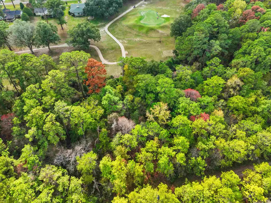 180 Brightberry Ct, Brookeland, TX 75931 - #2